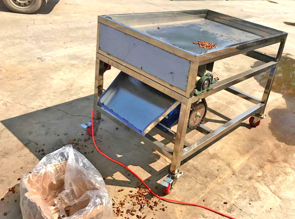 Dry Fruit Cutter Dried Fruit Chopper Dried Fruit Dicing Machine